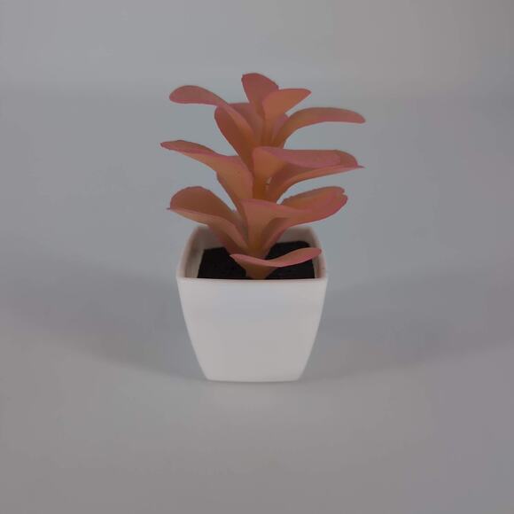 Mini Fake Faux Artificial Pink Succulent Potted Plant in Plastic White Pot - GUC - Picture 6 of 10